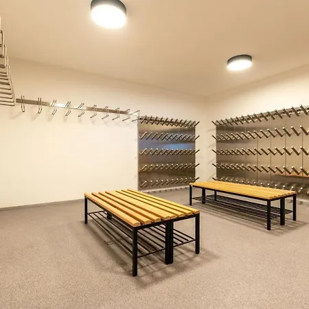 Apartment Alpex-serfaus